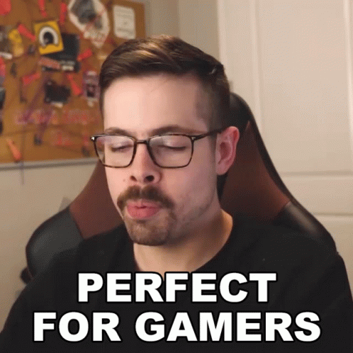 Perfect For Gamers Nick Zetta GIF - Perfect For Gamers Nick Zetta Basically Homeless GIFs