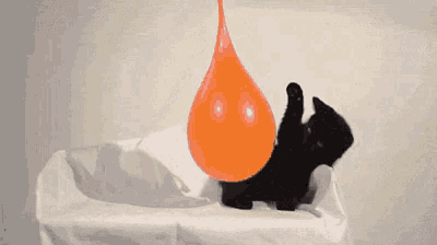 a black cat is taking a bath in a bathtub .