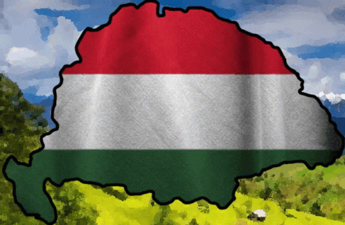 Hungary Hun GIF - Hungary Hun Magyar GIFs