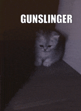 Cat Gunslinger GIF - Cat Gunslinger Lost Ark GIFs