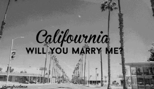 a california will you marry me poster with palm trees