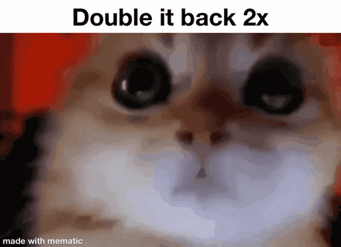 a close up of a cat with the words double it back 2x made with mematic