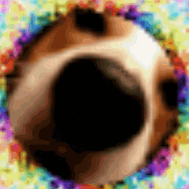 a colorful circle with a black circle in the center