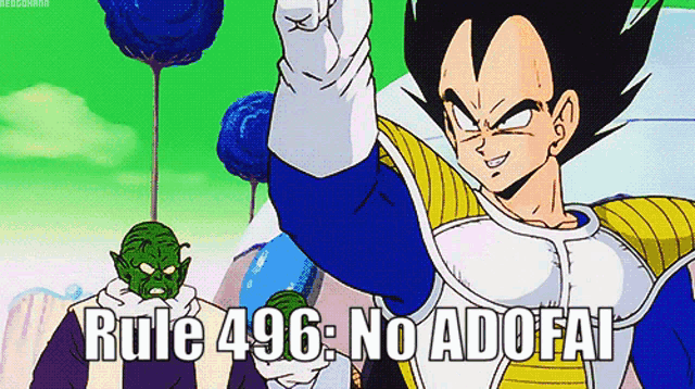 a dragon ball z character says rule496 no adofa