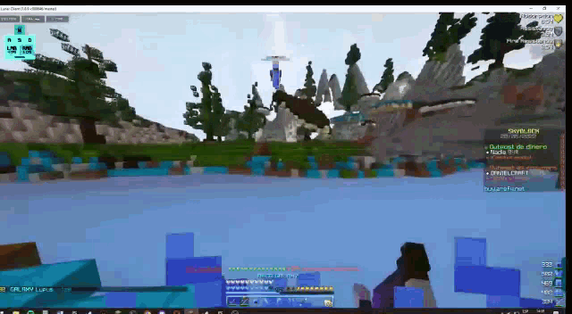a computer screen shows a minecraft game being played on a server