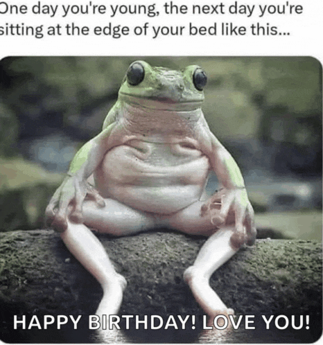 a picture of a frog sitting on a rock with the words happy birthday love you