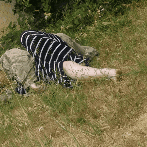a person in a striped shirt is laying down in the grass