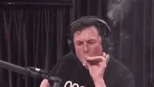 Elon Musk GIF - Elon Musk Werd GIFs