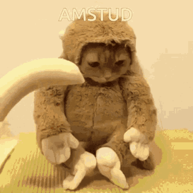 Amstud American Studies GIF - Amstud American Studies Monkey Cry GIFs