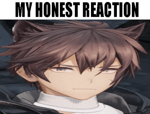 a picture of a boy with cat ears and the words my honest reaction above him