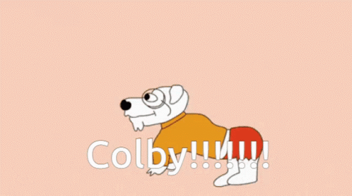 Colby Happy GIF - Colby Happy Dog GIFs