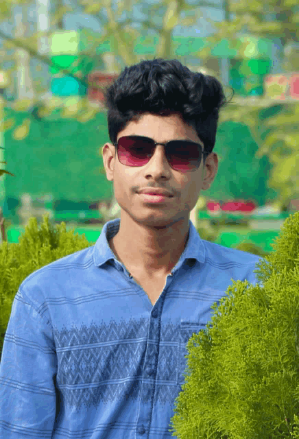 a young man wearing sunglasses and a blue shirt stands in front of a green bush