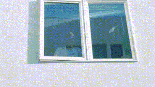 Joel Haver Window GIF - Joel Haver Window Annoyed GIFs