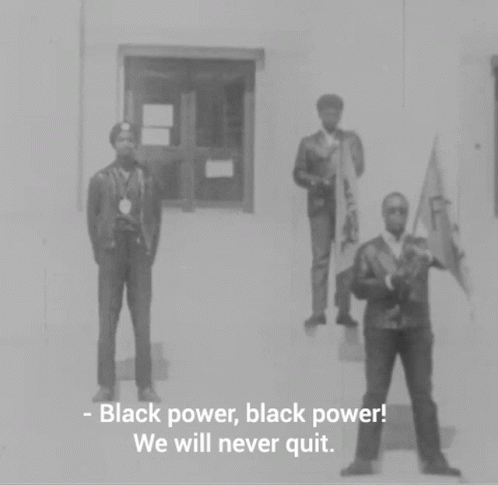 D2 Black Power GIF - D2 Black Power We Will Never Quit GIFs