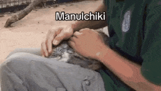 a man is petting a small rabbit on his lap .