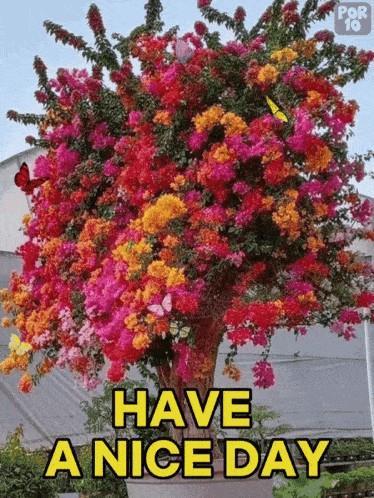 Have A Nice Day Butterflies GIF - Have A Nice Day Butterflies Flowers GIFs
