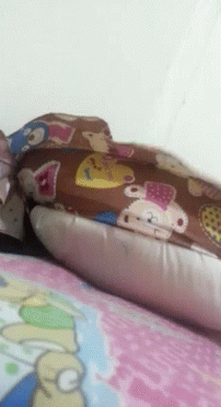Pillow Bed GIF - Pillow Bed Windy GIFs