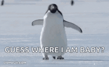 a penguin is standing in the snow and says `` guess where i am baby ? ''