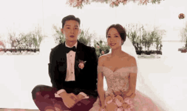 a man in a tuxedo and a woman in a wedding dress are posing for a picture .