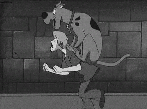 Scooby Doo Run GIF - Scooby Doo Run Shaggy GIFs