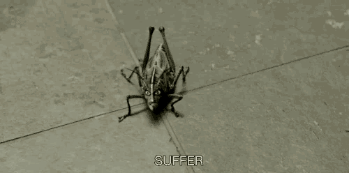 a grasshopper is sitting on a tiled floor with the word suffer written below it .