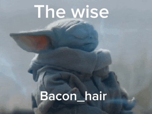 a picture of a baby yoda with the words " the wise bacon hair " on it