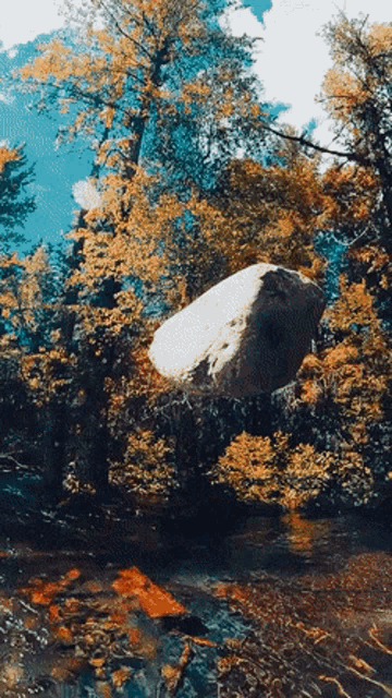 a large rock sits in the middle of a forest near a river