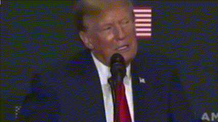 donald trump is speaking into a microphone with the words it 's called laundering behind him