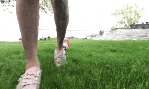 a person is walking on a lush green lawn in a park .