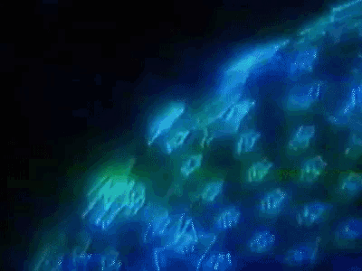 a painting of a dark blue background with a few white clouds
