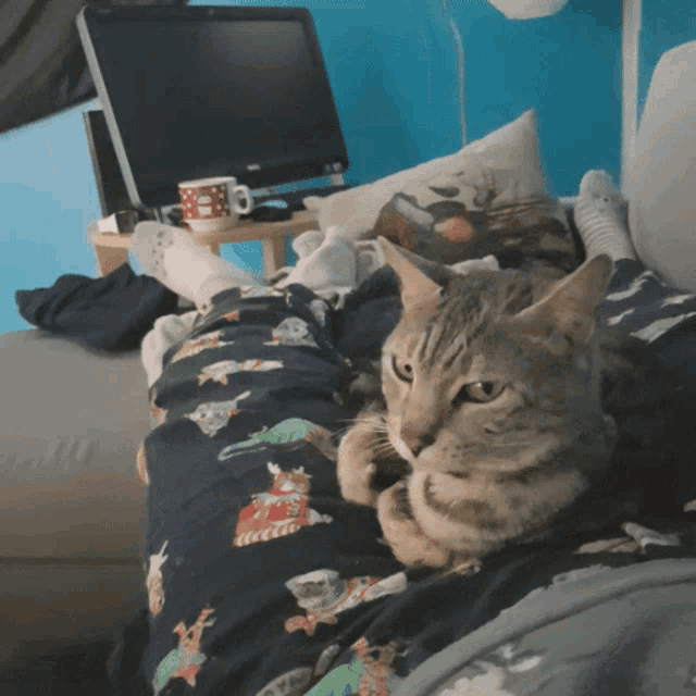 a cat laying on a person 's lap wearing pajamas with dinosaurs
