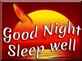 a picture of a sunset with a butterfly and the words good night sleep well