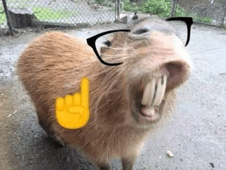 Capybara Nerd Emoji GIF - Capybara Nerd Emoji Nerd GIFs