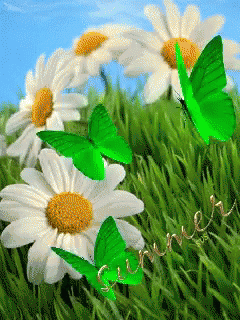 Daisy Green GIF - Daisy Green Butterfly GIFs