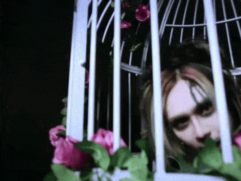 a woman is behind bars in a bird cage with flowers .