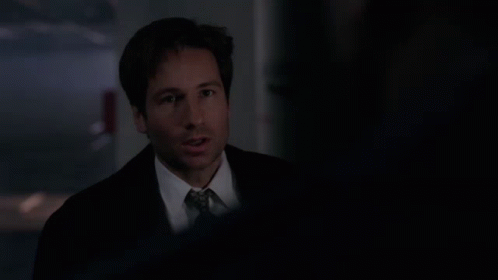The X Files Let Me Get Clear On Something Here GIF - The X Files Let Me Get Clear On Something Here Mulder GIFs
