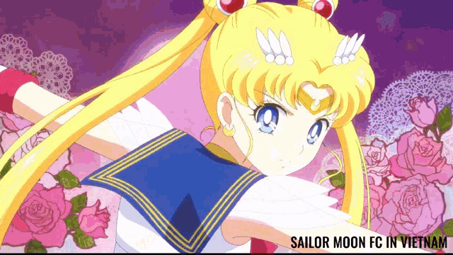 Sailor Senshi Smfcvn GIF - Sailor Senshi Smfcvn Usagi GIFs