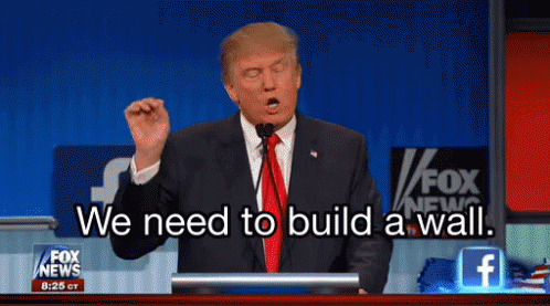 Donald Trump Wall GIF - Donald Trump Wall Solution GIFs