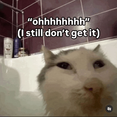 a cat in a bathtub with a caption that says " ohhhhhhhh "
