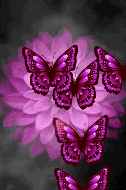 a group of purple butterflies are sitting on a purple flower