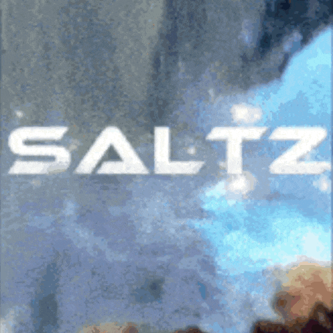 the word saltz is written on a blue background