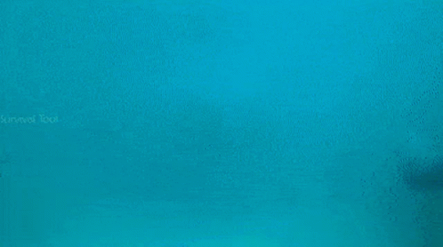 Water Life Could Be A Dream GIF - Water Life Could Be A Dream Swim GIFs