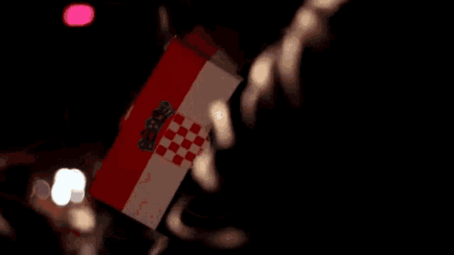 a close up of a person holding a small flag