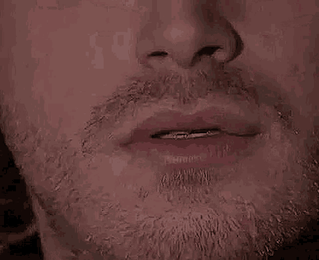 a close up of a man 's face with a beard and a piercing in his nose .