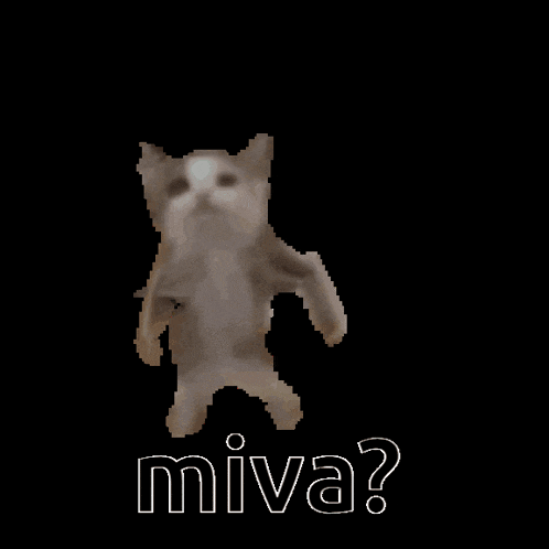 a pixelated image of a cat dancing with the word miva written below it