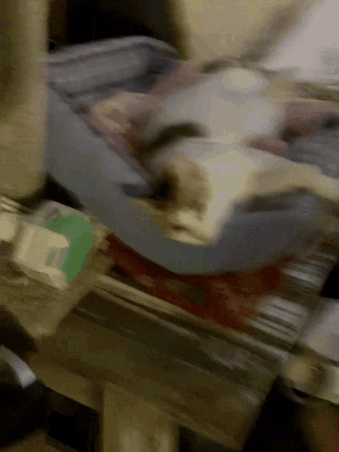 a blurry picture of a cat laying in a cat bed