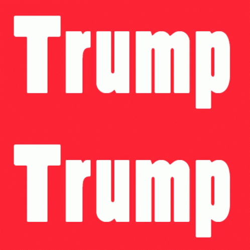 Trump Dumb GIF - Trump Dumb Dumb And Dumber GIFs