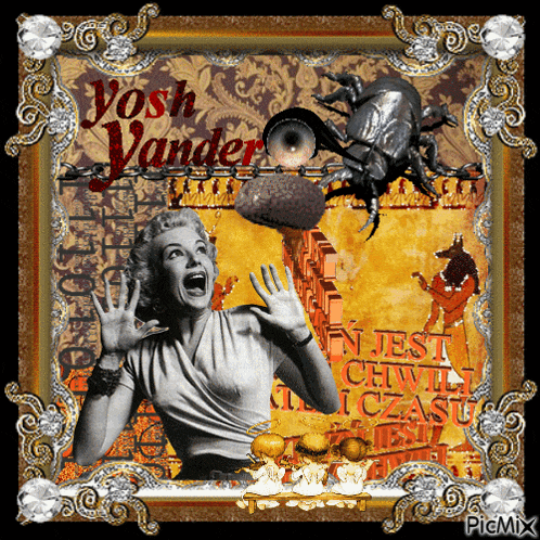 a picture of a woman and a bug with the name josh vander on it