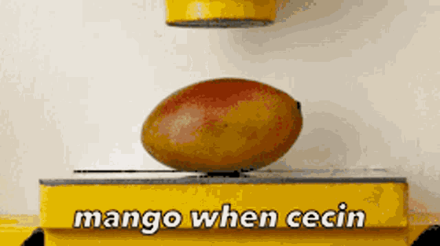 Mangocecin Mangowhencecin GIF - Mangocecin Cecin Mango GIFs