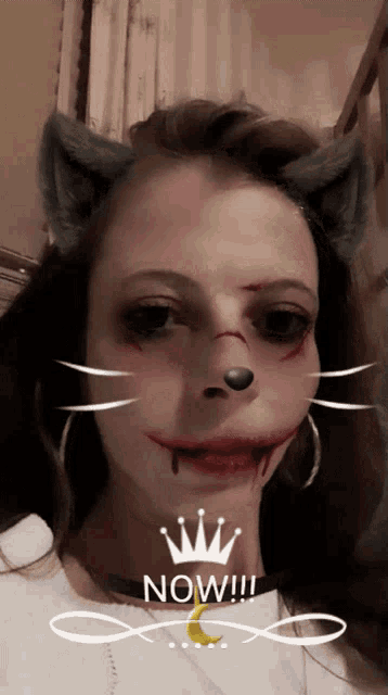 a woman with a cat face and a crown that says now !!!